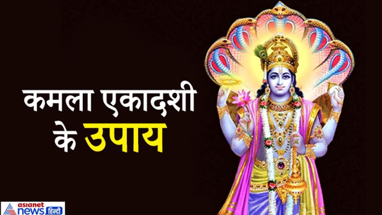 मंगलवार को एकादशी पर करें इन 5 में से कोई 1 उपाय, मिलेगा 10 गुना ज्यादा फायदा मंगलवार को एकादशी पर करें इन 5 में से कोई 1 उपाय, मिलेगा 10 गुना ज्यादा फायदा