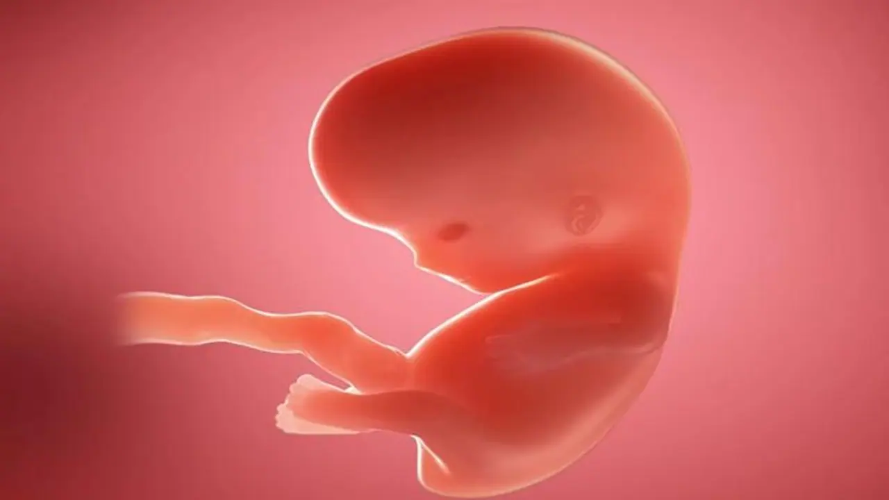 రాజీవ్ గాంధీ ఎయిర్ పోర్టులో దారుణం.. టాయిలెట్ లో పారేసిన పిండం లభ్యం రాజీవ్ గాంధీ ఎయిర్ పోర్టులో దారుణం.. టాయిలెట్ లో పారేసిన పిండం లభ్యం