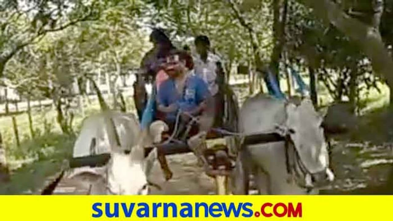 25 ವರ್ಷಗಳ ನಂತ್ರ ಎತ್ತಿನ ಗಾಡಿ ಓಡಿಸಿದ ಗುರುದೇಶಪಾಂಡೆ; ಟ್ರಾಫಿಕ್ ಜಾಮಿಲ್ಲ, ಪೊಲ್ಲ್ಯೂಷನ್ ಇಲ್ಲ