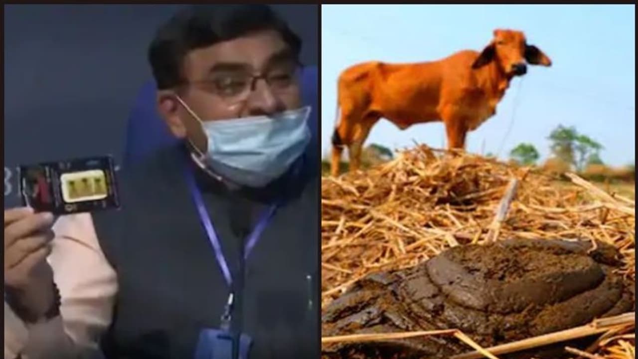 ചാണകം ഉപയോഗിച്ച് 'ആന്റി റേഡിയേഷന് ചിപ്പ്' പുറത്തിറക്കി രാഷ്ട്രീയ കാമധേനു അയോഗ് ചാണകം ഉപയോഗിച്ച് 'ആന്റി റേഡിയേഷന് ചിപ്പ്' പുറത്തിറക്കി രാഷ്ട്രീയ കാമധേനു അയോഗ്