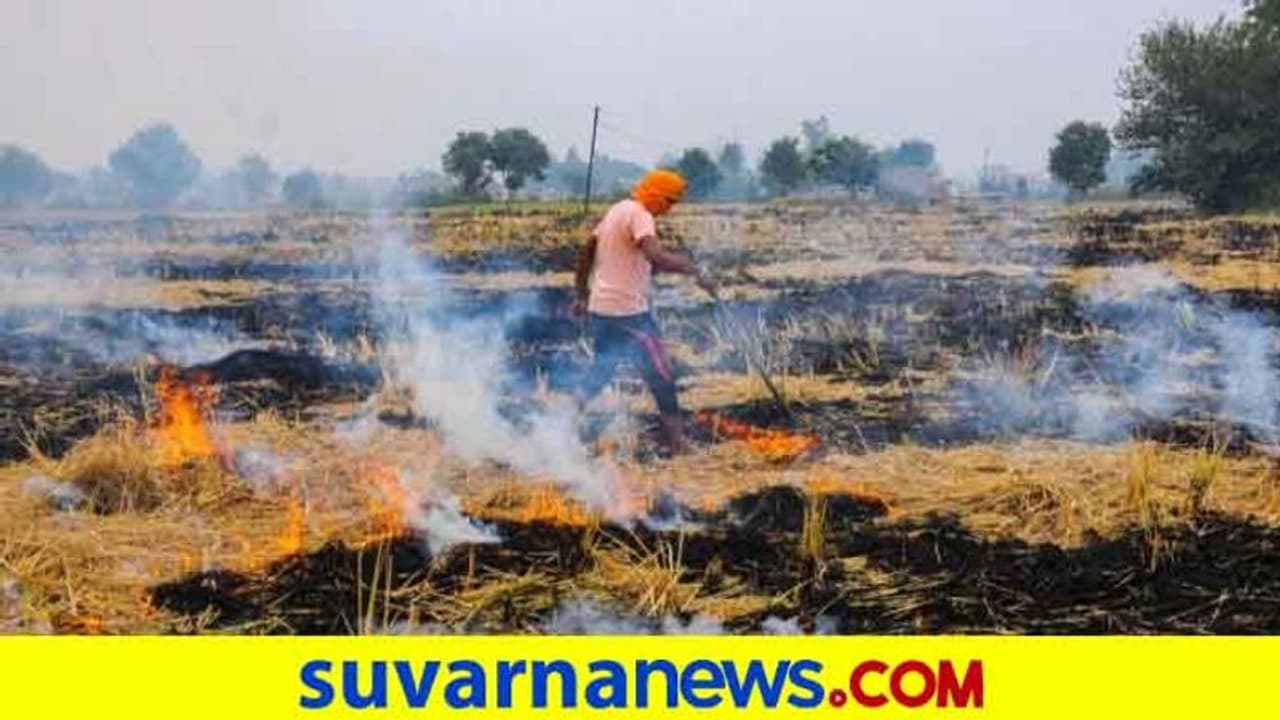 ಪಂಜಾಬ್‌ನಲ್ಲಿ ದಾಖಲೆ ಪ್ರಮಾಣದಲ್ಲಿ ಪೈರಿನ ಕಳೆಗೆ ಬೆಂಕಿ; ಆತಂಕದಲ್ಲಿ ದೆಹಲಿ!