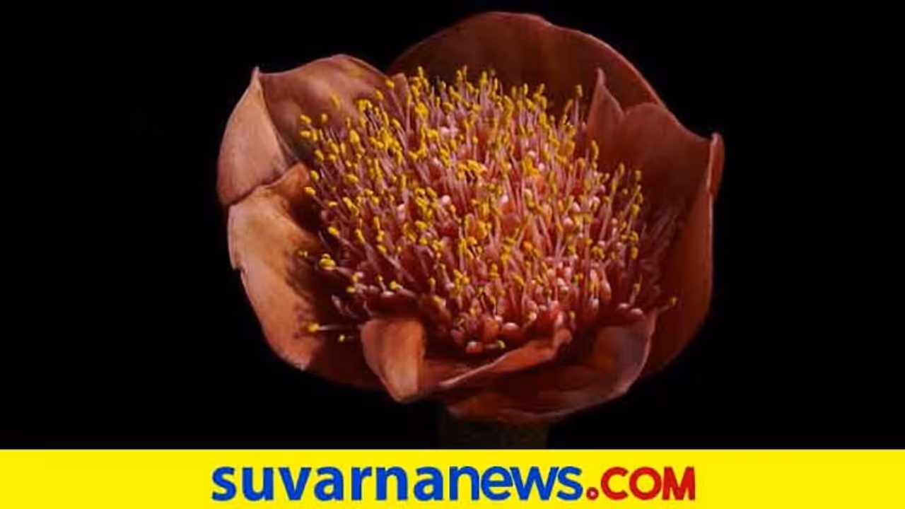 #Feelfree: ನನ್ನ ಗಂಡನಿಗೆ ಯೋನಿ ಕಂಡರೆ ಭಯ, ಇದ್ಯಾಕೆ?