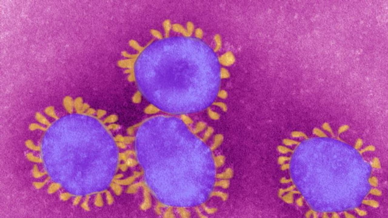 তবে কি দেশ কাটিয়ে উঠল প্রথম পর্বের ধাক্কা, করোনা মহামারির গ্রাফ নিম্নমুখী তবে কি দেশ কাটিয়ে উঠল প্রথম পর্বের ধাক্কা, করোনা মহামারির গ্রাফ নিম্নমুখী