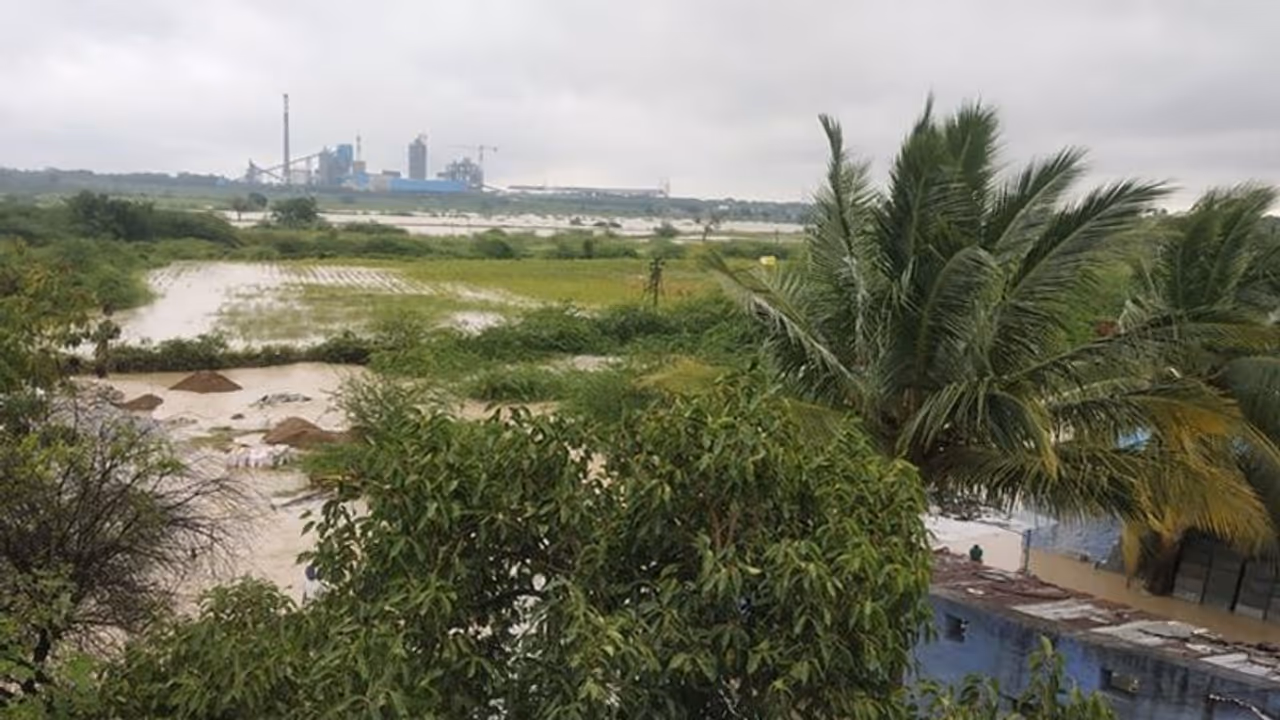 Farm laws: Key to earn more lies in crop diversification Farm laws: Key to earn more lies in crop diversification