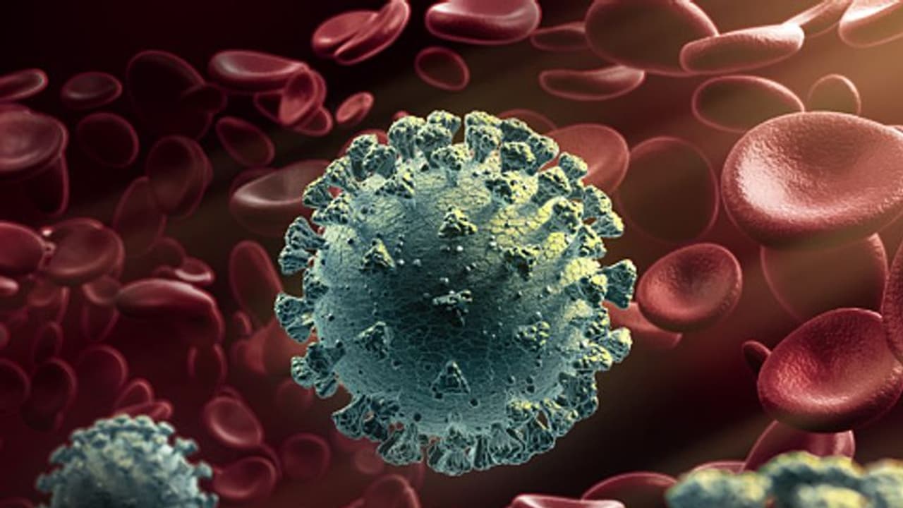 ఏపీకి బిగ్ రిలీఫ్: భారీగా పడిపోయిన కరోనా కేసులు, మరణాలు ఏపీకి బిగ్ రిలీఫ్: భారీగా పడిపోయిన కరోనా కేసులు, మరణాలు