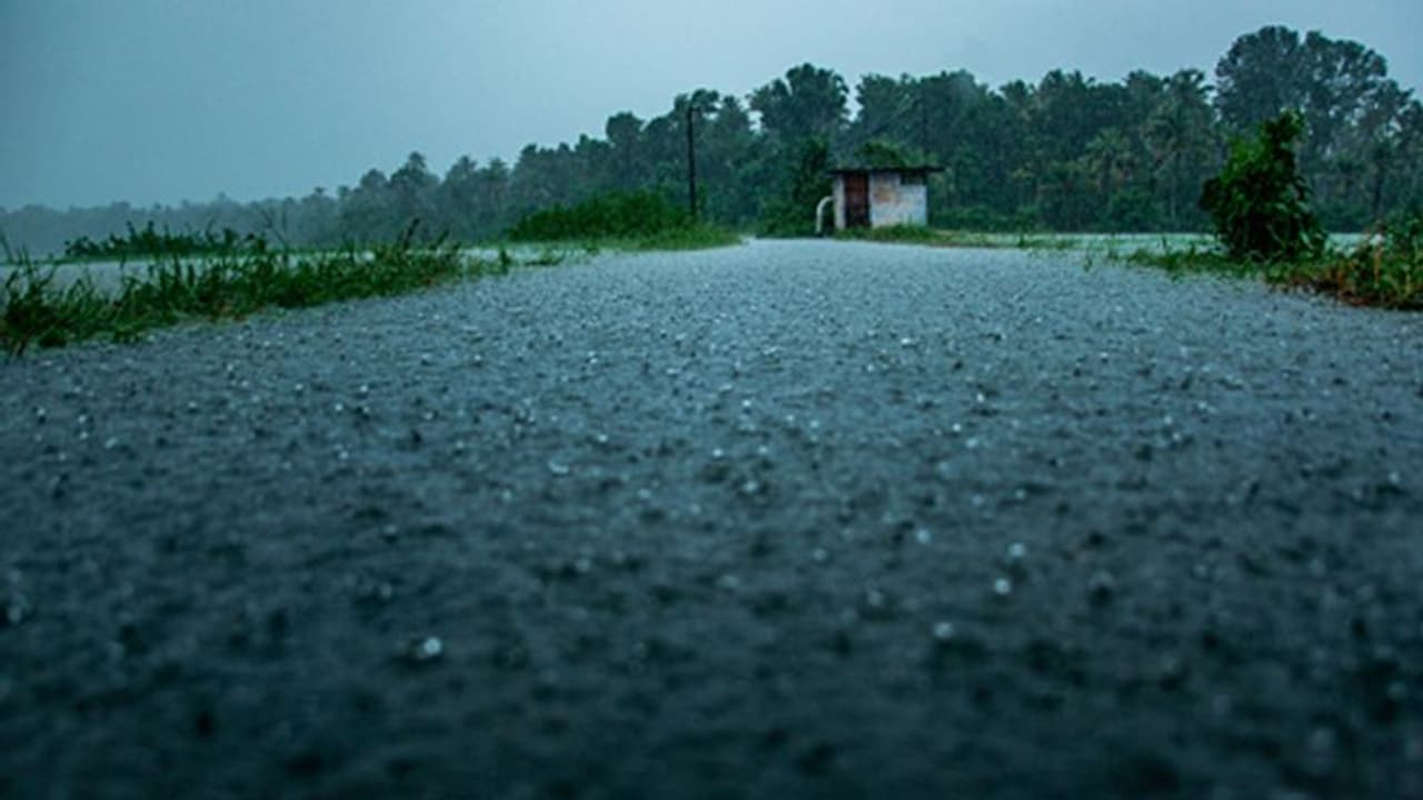 বইছে ঝোড়ো হাওয়া, প্রবল বর্ষণ শুরু দক্ষিণবঙ্গে, কী বলছে হাওয়া অফিস বইছে ঝোড়ো হাওয়া, প্রবল বর্ষণ শুরু দক্ষিণবঙ্গে, কী বলছে হাওয়া অফিস