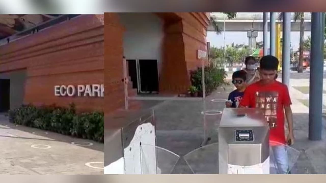 পুজোর আগে বড়সড় উপহার, দীর্ঘ ৭ মাস পর খুলল নিউটাউনের ইকো পার্ক পুজোর আগে বড়সড় উপহার, দীর্ঘ ৭ মাস পর খুলল নিউটাউনের ইকো পার্ক