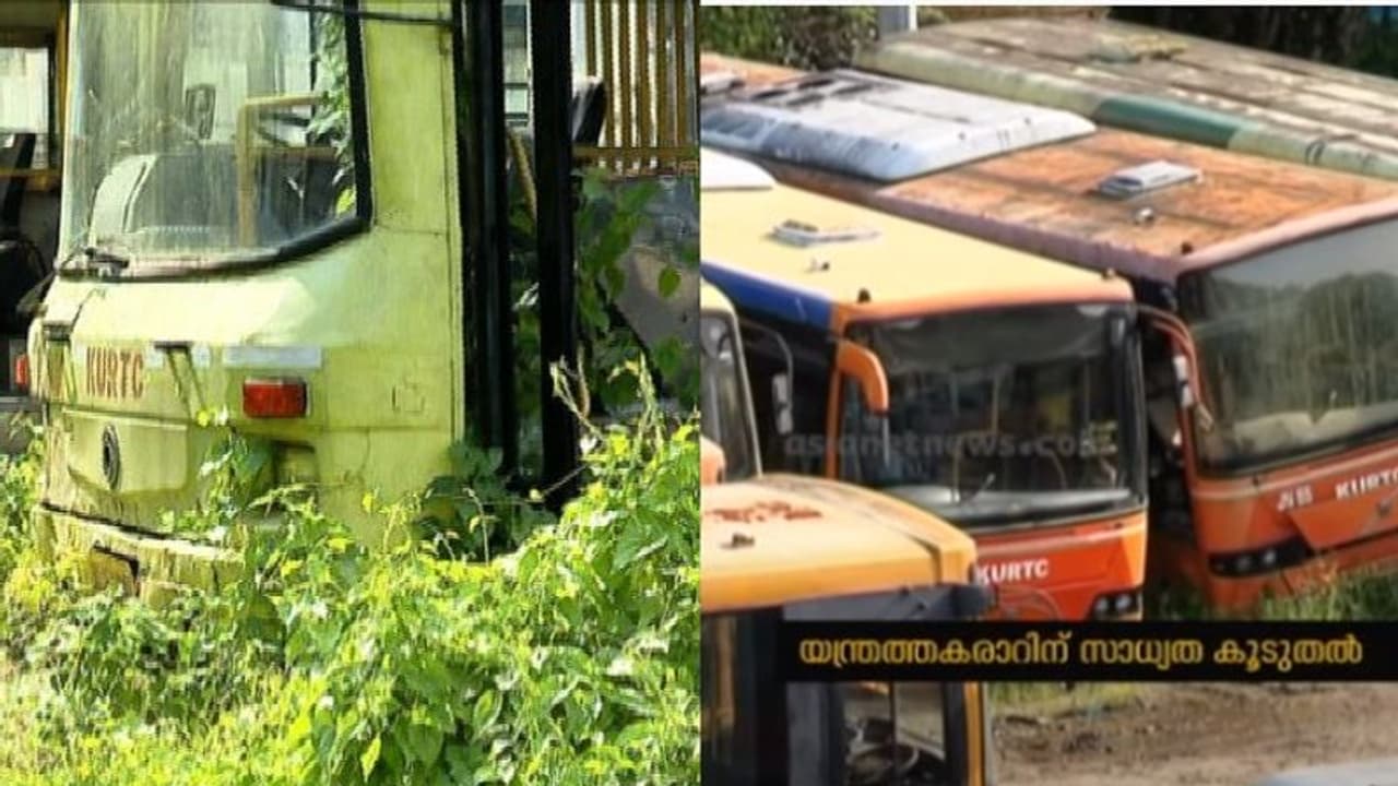 അനക്കമില്ലാതായിട്ട് ഏഴാം മാസം; കാട് കയറി കട്ടപ്പുറത്തേക്ക് നീങ്ങുന്ന കെഎസ്ആർടിസി ബസുകൾ അനക്കമില്ലാതായിട്ട് ഏഴാം മാസം; കാട് കയറി കട്ടപ്പുറത്തേക്ക് നീങ്ങുന്ന കെഎസ്ആർടിസി ബസുകൾ