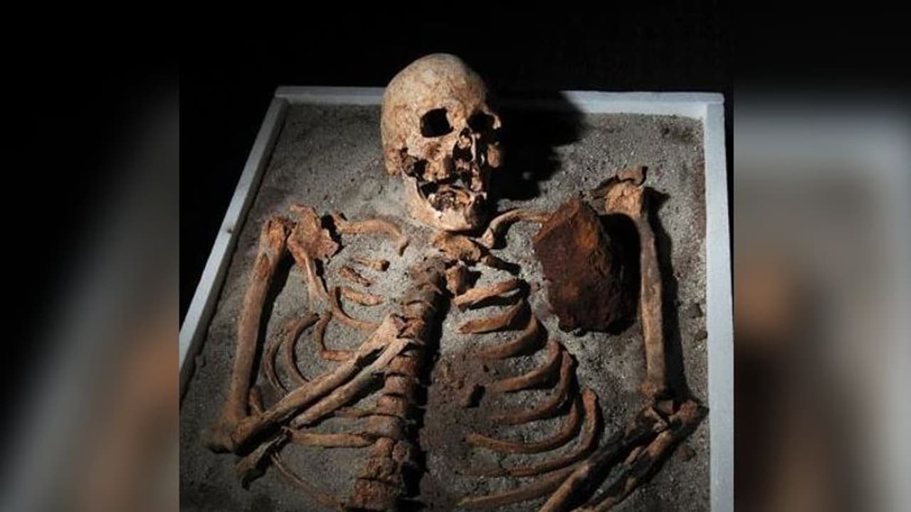 దారుణం : అదృశ్యమై.. అస్తిపంజరంగా మారి... దారుణం : అదృశ్యమై.. అస్తిపంజరంగా మారి...