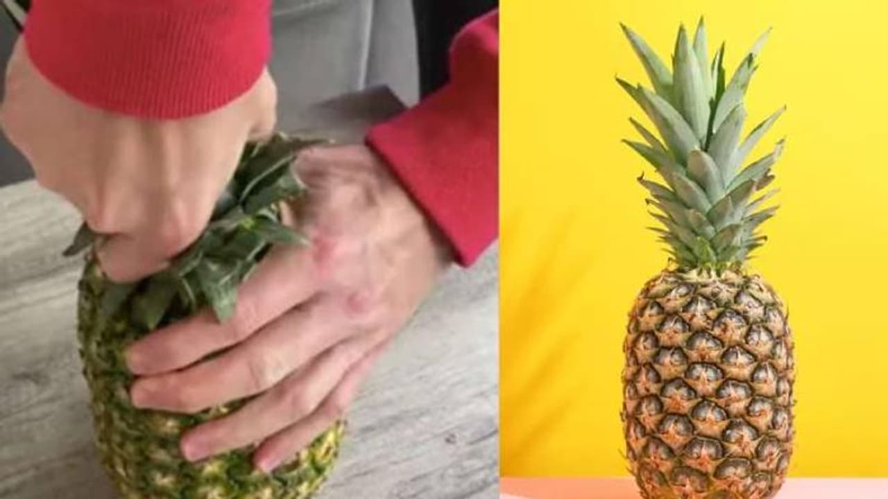 കത്തിയൊന്നും വേണ്ട, ഇങ്ങനെയും പൈനാപ്പിള് മുറിക്കാം; വൈറലായി വീഡിയോ... കത്തിയൊന്നും വേണ്ട, ഇങ്ങനെയും പൈനാപ്പിള് മുറിക്കാം; വൈറലായി വീഡിയോ...