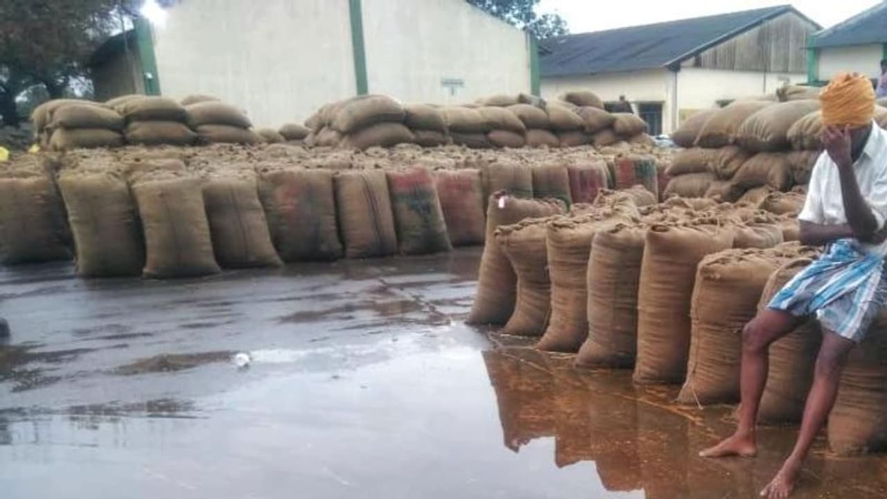 తెలంగాణకు కేంద్రం గుడ్న్యూస్... ఖరీఫ్ సీజన్లో బియ్యం సేకరణకు గ్రీన్సిగ్నల్ తెలంగాణకు కేంద్రం గుడ్న్యూస్... ఖరీఫ్ సీజన్లో బియ్యం సేకరణకు గ్రీన్సిగ్నల్