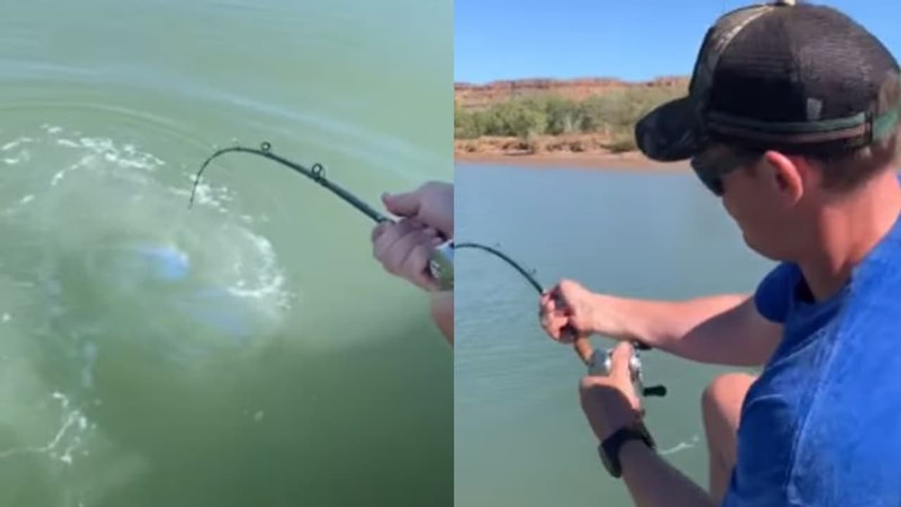 മീന് ചൂണ്ടയില് കുരുങ്ങിയ വമ്പന്; ലക്ഷക്കണക്കിന് പേര് കണ്ട വീഡിയോ... മീന് ചൂണ്ടയില് കുരുങ്ങിയ വമ്പന്; ലക്ഷക്കണക്കിന് പേര് കണ്ട വീഡിയോ...