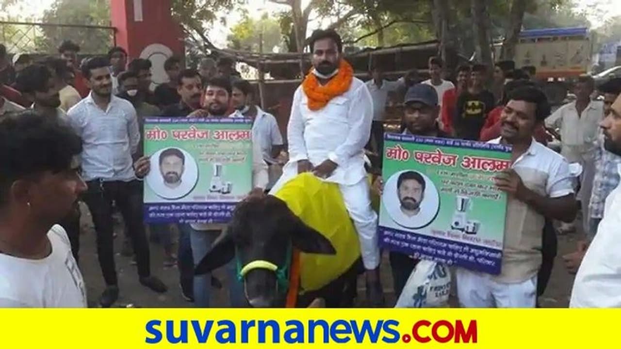 ಎಮ್ಮೆ ಮೇಲೆ ಕುಳಿತು ಚುನಾವಣೆ ಪ್ರಚಾರಕ್ಕೆ ಬಂದ ಅಭ್ಯರ್ಥಿ ವಿರುದ್ಧ ಕೇಸ್ ಬುಕ್, ಇದು ಬೇಕಿತ್ತಾ..? ಎಮ್ಮೆ ಮೇಲೆ ಕುಳಿತು ಚುನಾವಣೆ ಪ್ರಚಾರಕ್ಕೆ ಬಂದ ಅಭ್ಯರ್ಥಿ ವಿರುದ್ಧ ಕೇಸ್ ಬುಕ್, ಇದು ಬೇಕಿತ್ತಾ..?