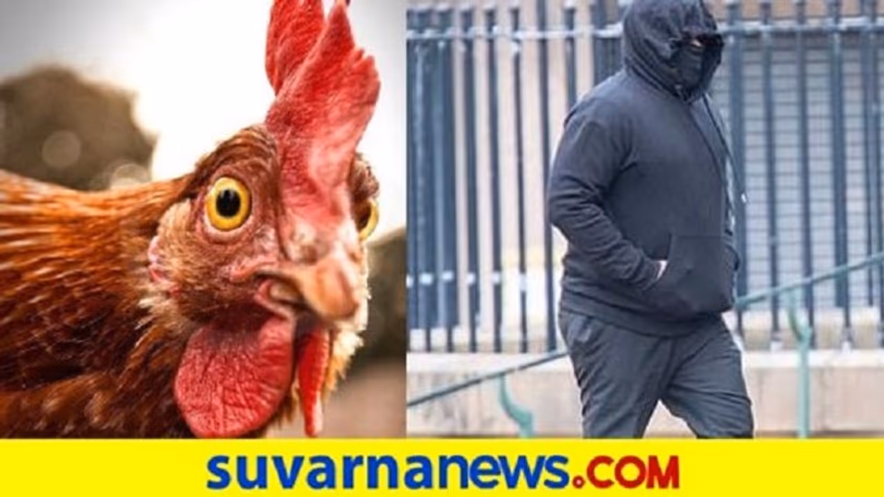 ಹೆಂಡತಿಯೊಂದಿಗೆ ಸೆಕ್ಸ್... ನಂತ್ರ ಕೋಳಿಗಳ ಜತೆ... ವಿಡಿಯೋ ಮಾಡ್ತಿದ್ದ ಪತ್ನಿ! ಹೆಂಡತಿಯೊಂದಿಗೆ ಸೆಕ್ಸ್... ನಂತ್ರ ಕೋಳಿಗಳ ಜತೆ... ವಿಡಿಯೋ ಮಾಡ್ತಿದ್ದ ಪತ್ನಿ!