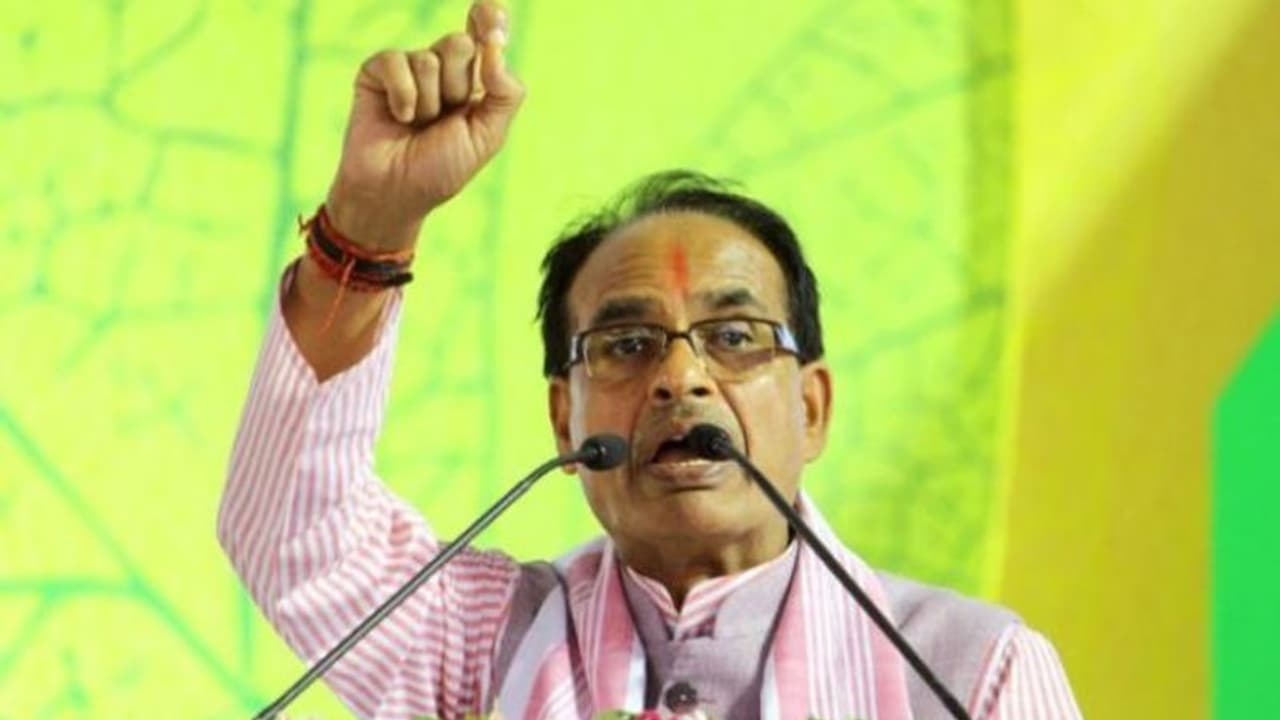 चुनाव से पहले CM शिवराज का बड़ा ऐलान, दीवाली से पहले प्रदेश के 4.37 लाख कर्मचारियों को दिया ये तोहफा