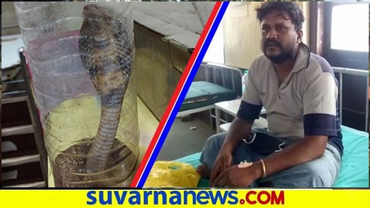 ಕಚ್ಚಿಸಿಕೊಂಡ ಹಾವಿನೊಂದಿಗೆ ಆಸ್ಪತ್ರೆಗೆ ಬಂದ ಸ್ನೇಕ್ ವಿಶ್ವನಾಥ! ಬೆಚ್ಚಿದ ಆಸ್ಪತ್ರೆ ಸಿಬ್ಬಂದಿ ಕಚ್ಚಿಸಿಕೊಂಡ ಹಾವಿನೊಂದಿಗೆ ಆಸ್ಪತ್ರೆಗೆ ಬಂದ ಸ್ನೇಕ್ ವಿಶ್ವನಾಥ! ಬೆಚ್ಚಿದ ಆಸ್ಪತ್ರೆ ಸಿಬ್ಬಂದಿ