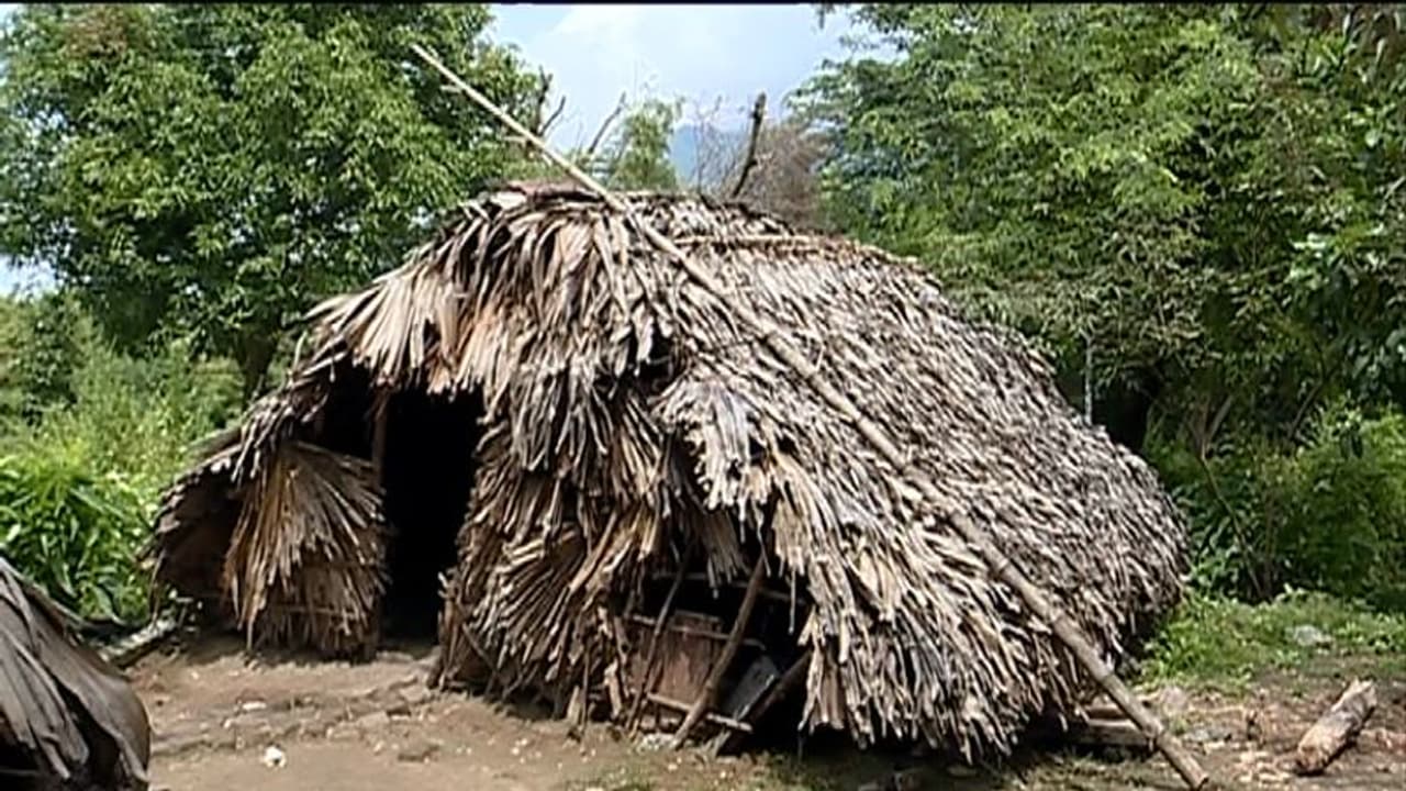 വിഷമദ്യദുരന്തത്തിൽ 5 പേർ മരിച്ച ചെല്ലങ്കാവ് കോളനിയിലുള്ളവരുടെ ജീവിതം ദുരിതപൂർണം വിഷമദ്യദുരന്തത്തിൽ 5 പേർ മരിച്ച ചെല്ലങ്കാവ് കോളനിയിലുള്ളവരുടെ ജീവിതം ദുരിതപൂർണം