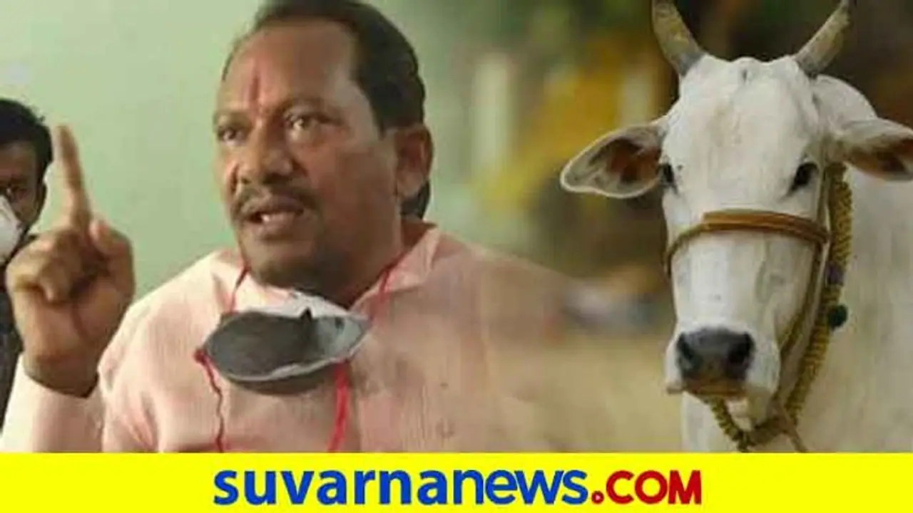 Bidar: ಬಕ್ರೀದ್ ಹಬ್ಬದಲ್ಲಿ ಗೋವುಗಳ ಸಾಗಾಟಕ್ಕೆ ಕಡಿವಾಣ: ಸಚಿವ ಪ್ರಭು ಚವ್ಹಾಣ್ 