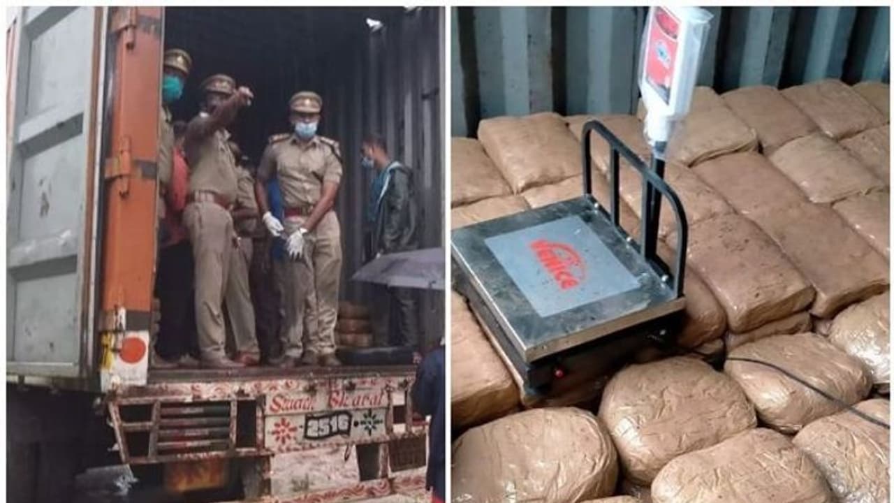 കേരളത്തിലേക്ക് 500 കിലോ കഞ്ചാവ് കടത്തിയ കേസ്; മുഖ്യ സൂത്രധാരൻ പിടിയിൽ