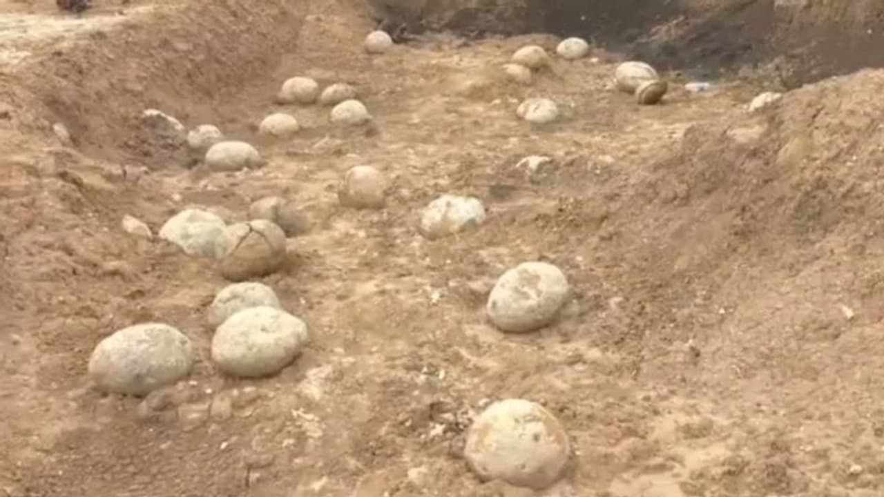 వీళ్ల దుంపతెగ.. డైనోసార్ గుడ్లకు కులదేవతలంటూ పూజలు.. ఎక్కడో తెలుసా? వీళ్ల దుంపతెగ.. డైనోసార్ గుడ్లకు కులదేవతలంటూ పూజలు.. ఎక్కడో తెలుసా?