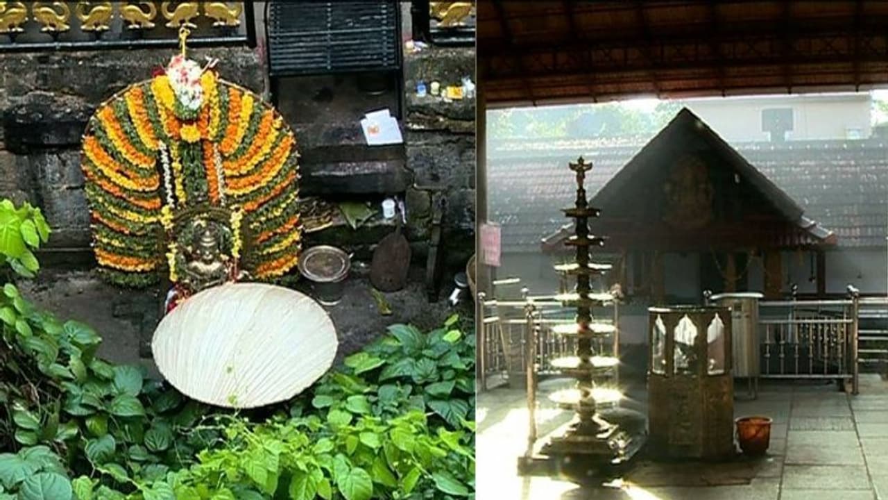 ഇന്ന് മഹാനവമി; വിദ്യാരംഭത്തിനൊരുങ്ങി കേരളം, ചടങ്ങുകള് കൊവിഡ് നിയന്ത്രണങ്ങള് പാലിച്ച് ഇന്ന് മഹാനവമി; വിദ്യാരംഭത്തിനൊരുങ്ങി കേരളം, ചടങ്ങുകള് കൊവിഡ് നിയന്ത്രണങ്ങള് പാലിച്ച്