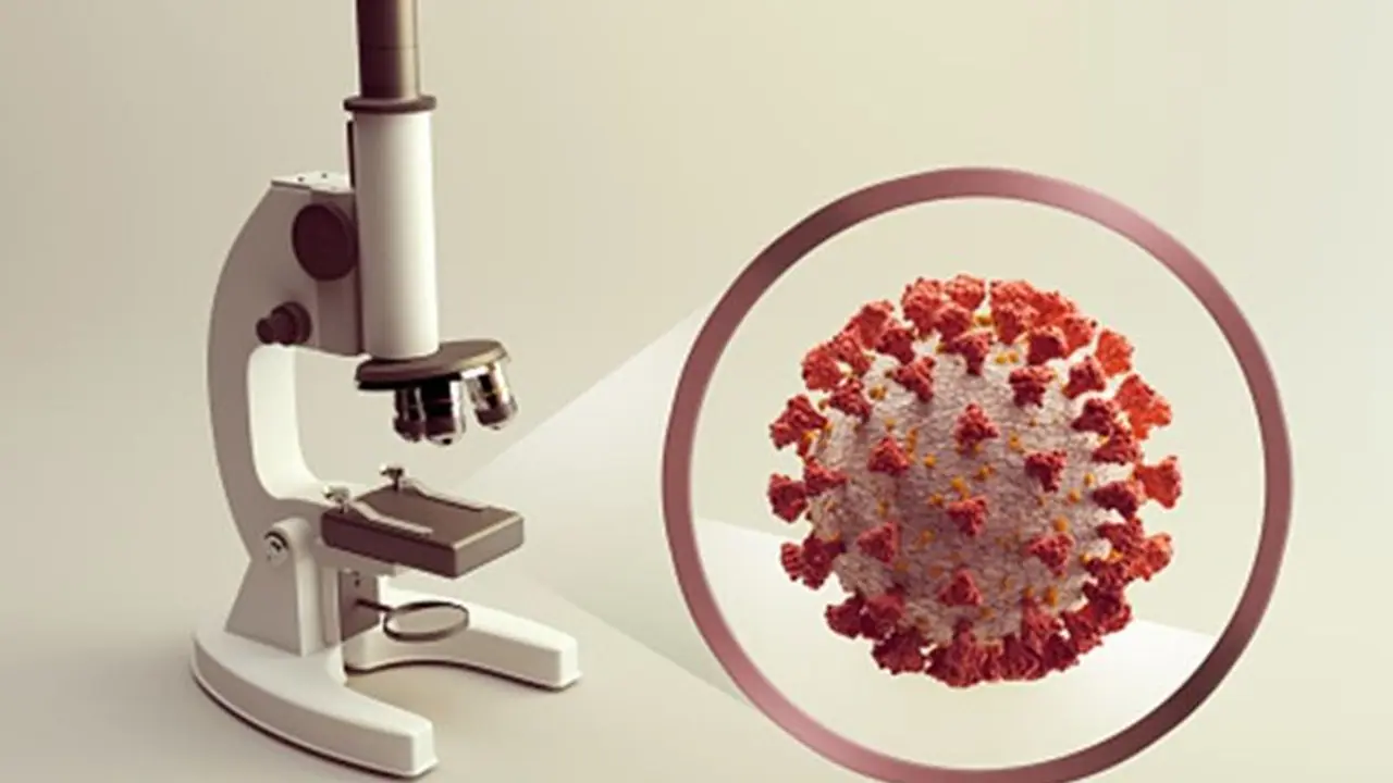 తెలంగాణ కరోనా అప్ డేట్: గణనీయంగా తగ్గిన పాజిటివ్ కేసులు