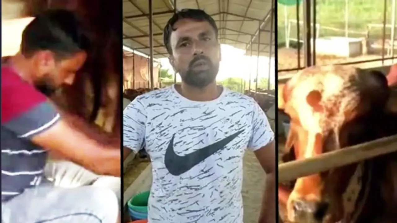 From mechanical engineer to animal husbandry, organic farming: Haresh’s great journey to success From mechanical engineer to animal husbandry, organic farming: Haresh’s great journey to success