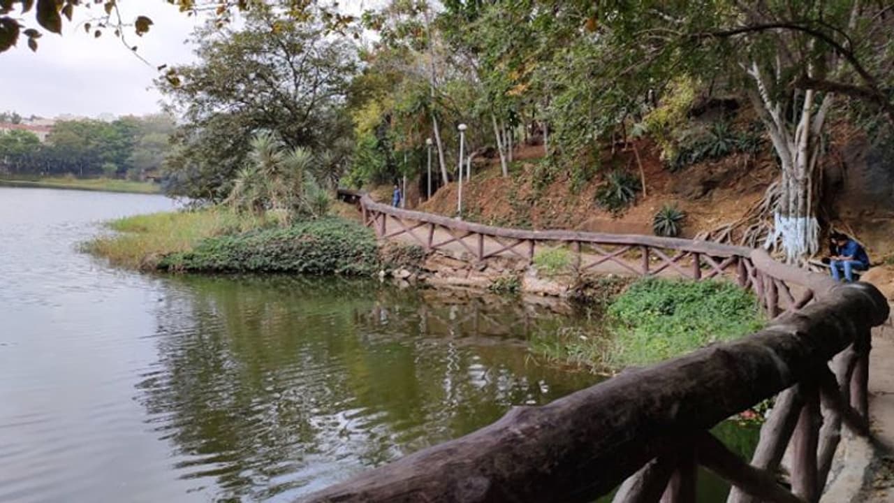 లోటస్పాండ్ చెరువులో యువకుడి మృతదేహం: ఉలిక్కిపడిన స్థానికులు లోటస్పాండ్ చెరువులో యువకుడి మృతదేహం: ఉలిక్కిపడిన స్థానికులు