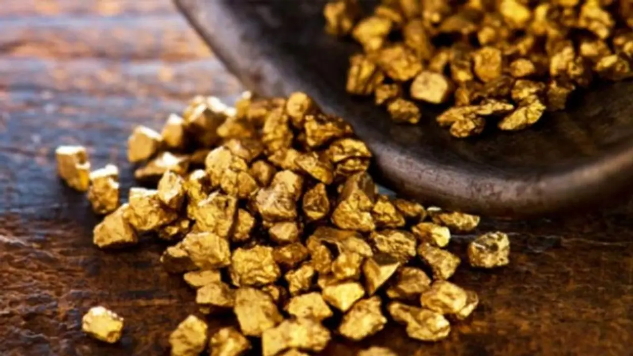 பிஹாரில் பூமிக்கு கீழ் 22 கோடி டன் தங்கம்: தோண்டி வெளியே எடுக்க நிதிஷ் அரசு முடிவு பிஹாரில் பூமிக்கு கீழ் 22 கோடி டன் தங்கம்: தோண்டி வெளியே எடுக்க நிதிஷ் அரசு முடிவு