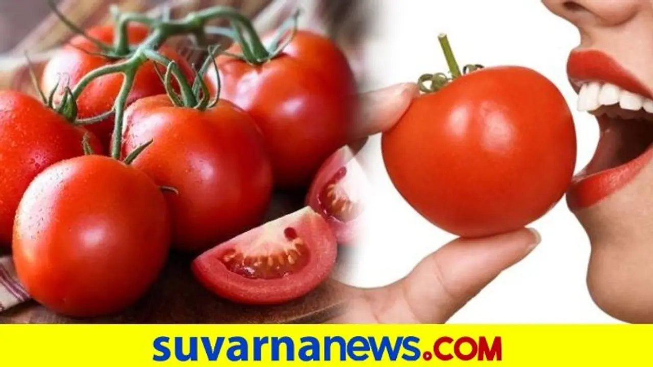 ಟೊಮೆಟೋ ಬೆಳೆಗೆ ಚುಕ್ಕಿ ರೋಗ ಕಾಟ : ರೈತರಲ್ಲಿ ಆತಂಕ