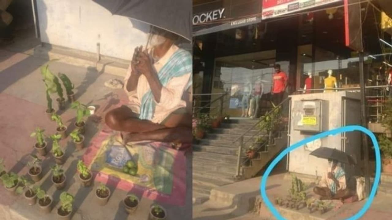 പൊരിവെയിലില്‍ കുട നിവര്‍ത്തിയിരുന്ന് കച്ചവടം; ഒടുവില്‍ വൃദ്ധന് സ്‌നേഹത്തിന്റെ തണല്‍...