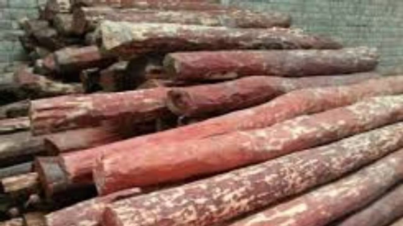 പരിസരത്ത് കൂടുതൽ സുരക്ഷ ഒരുക്കിയ രാത്രിയിയില്‍ വയനാട് കളക്ടറേറ്റ് വളപ്പിൽ നിന്നും ചന്ദനമരം മോഷ്ടിച്ചു