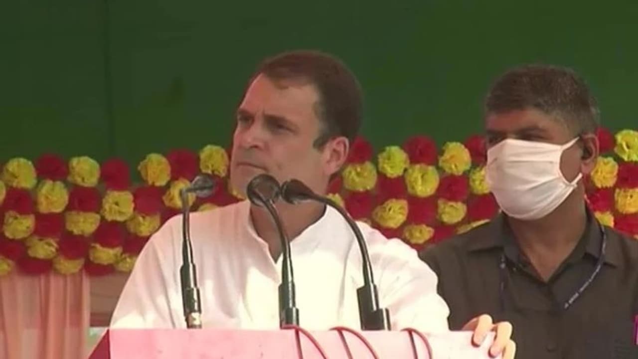 रोजगार के लिए युवा हो जाए तैयार, बिहार में बन रही महागठबंधन सरकार, राहुल गांधी ने किया कुछ ऐसा ट्टीट