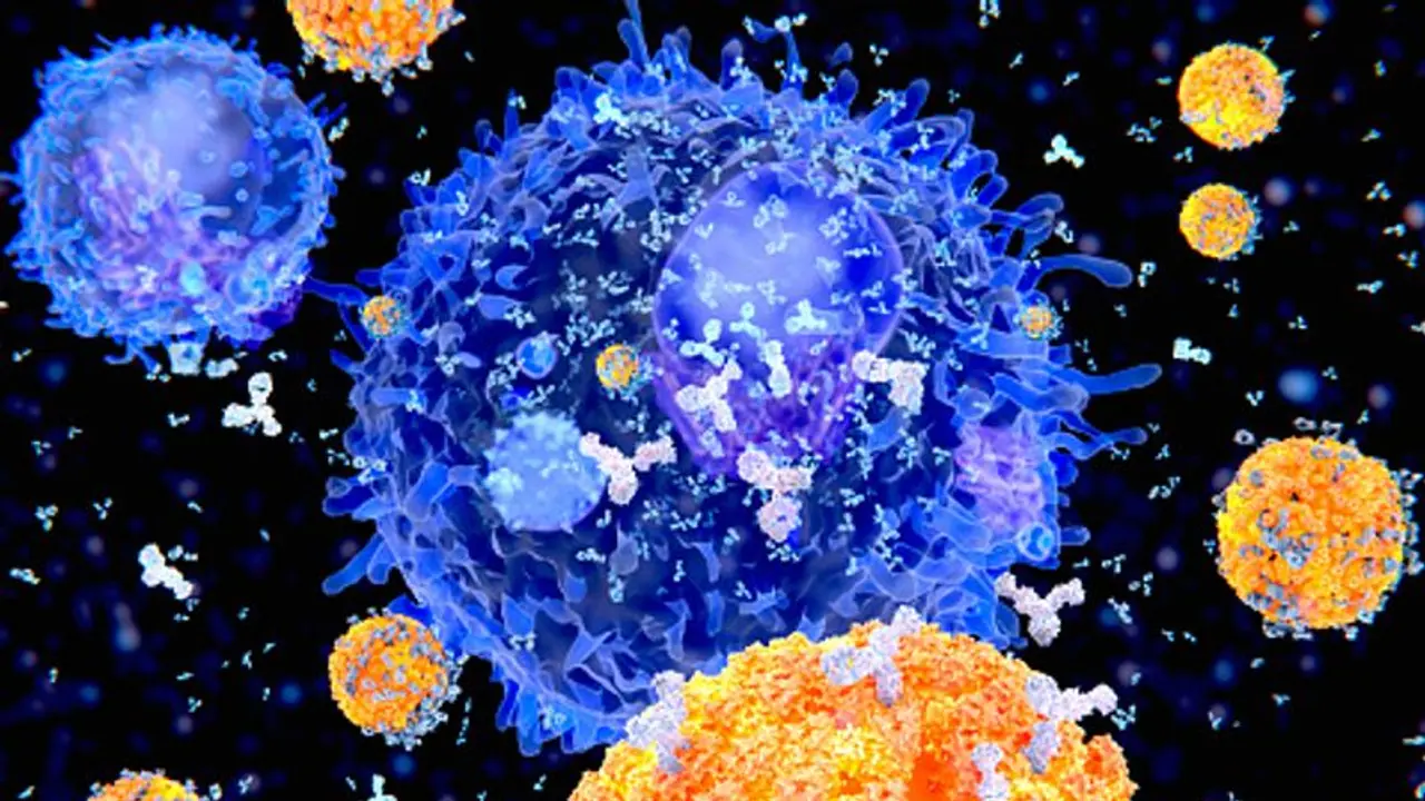 తెలంగాణ కరోనా వ్యాప్తి: కొత్తగా 1445 పాజిటివ్ కేసులు, ఆరు మరణాలు