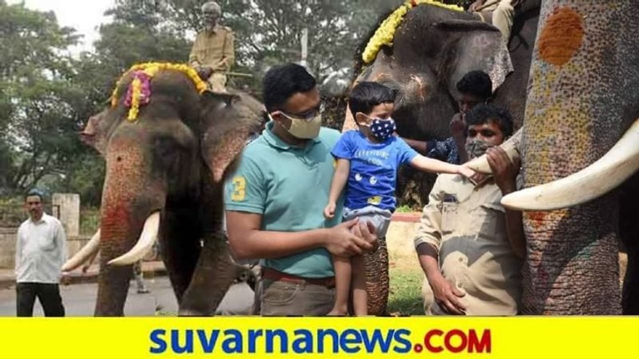 ಕಾಡಿಗೆ ಹೊರಡಲು ಸಿದ್ಧವಾಗಿದ್ದ ಅಭಿಮನ್ಯು ನೋಡಲು ಅರಮನೆ ಆವರಣಕ್ಕೆ ಬಂದ ಆದ್ಯವೀರ್