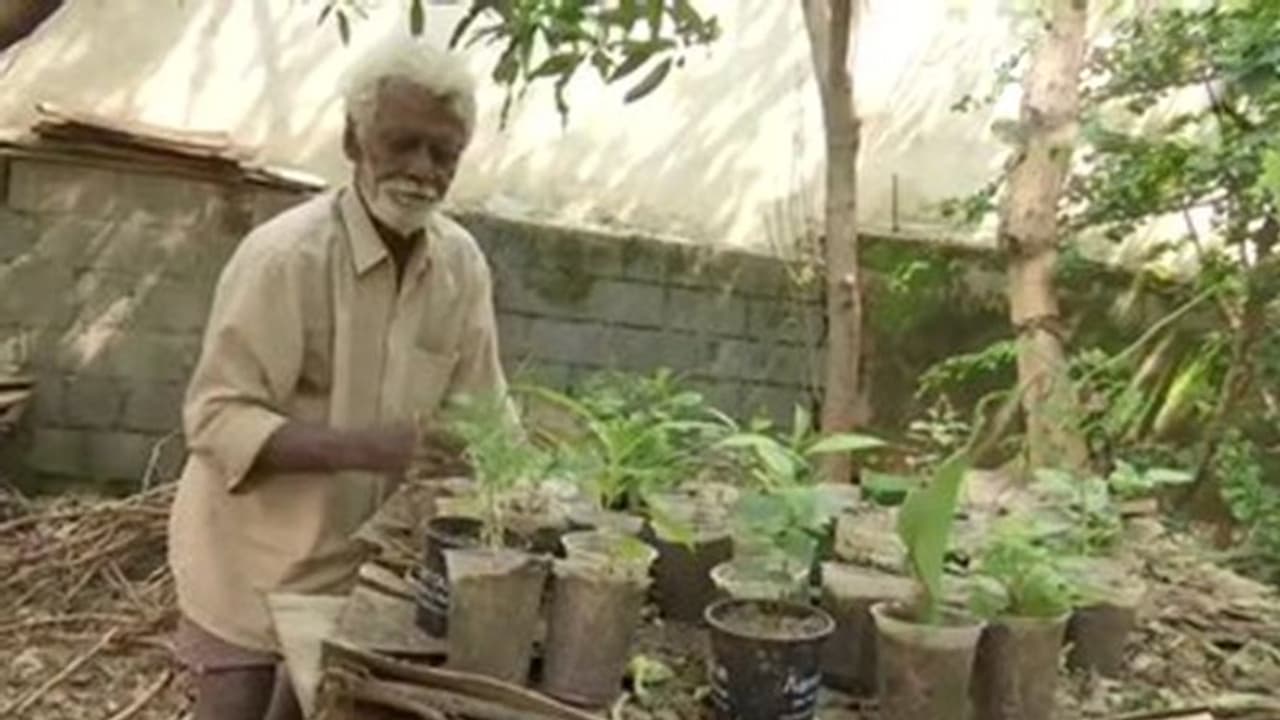 ব্যাঙ্গালোরের বৃদ্ধের জীবন বদলানো 'ভাইরাল ছবি', রাতারাতি বিক্রি দ্বিগুন ঔষুধি গাছ বিক্রেতার ব্যাঙ্গালোরের বৃদ্ধের জীবন বদলানো 'ভাইরাল ছবি', রাতারাতি বিক্রি দ্বিগুন ঔষুধি গাছ বিক্রেতার