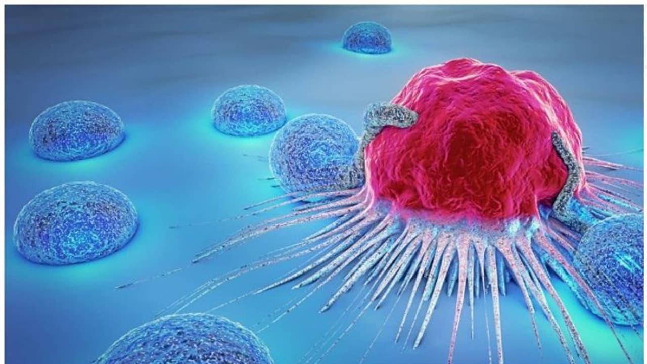 കാന്‍സറിന് കാരണമാകുന്ന നാല് ഭക്ഷണങ്ങൾ