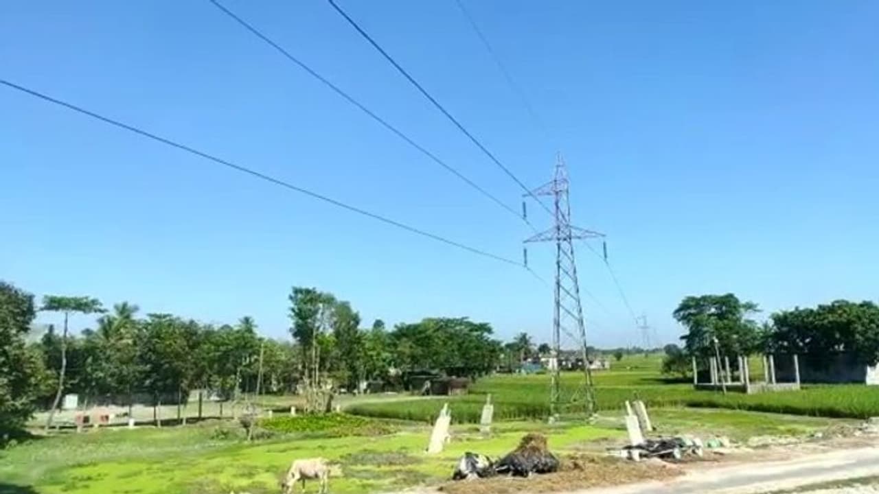 বিশ্ব নবি দিবসের মিছিলে ভয়াবহ দুর্ঘটনা, বিদ্যুৎপৃষ্ঠ হয়ে প্রাণ হারালেন দু'জন বিশ্ব নবি দিবসের মিছিলে ভয়াবহ দুর্ঘটনা, বিদ্যুৎপৃষ্ঠ হয়ে প্রাণ হারালেন দু'জন