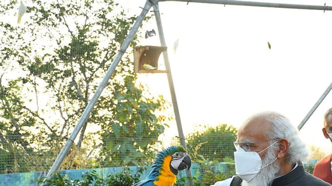 ২ দিনের গুজরাত সফরে মোদি, শনিবার দিনভর একাধিক প্রকল্পের উদ্বোধন, হবেন একতা প্যারডে সামিল ২ দিনের গুজরাত সফরে মোদি, শনিবার দিনভর একাধিক প্রকল্পের উদ্বোধন, হবেন একতা প্যারডে সামিল