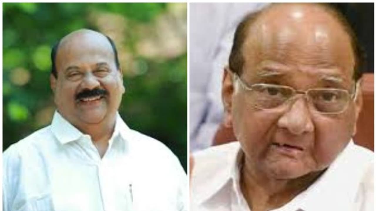 പാലാ സീറ്റ് വിവാദം: മാണി സി കാപ്പൻ വീണ്ടും ശരദ് പവാറുമായി കൂടിക്കാഴ്ച നടത്തി