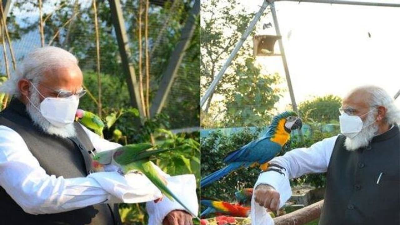 'ప్రకృతి ప్రేమికుడు' ప్రధాని నరేంద్ర మోడీ.. సోషల్ మీడియాలో ఫోటోలు వైరల్.. 'ప్రకృతి ప్రేమికుడు' ప్రధాని నరేంద్ర మోడీ.. సోషల్ మీడియాలో ఫోటోలు వైరల్..