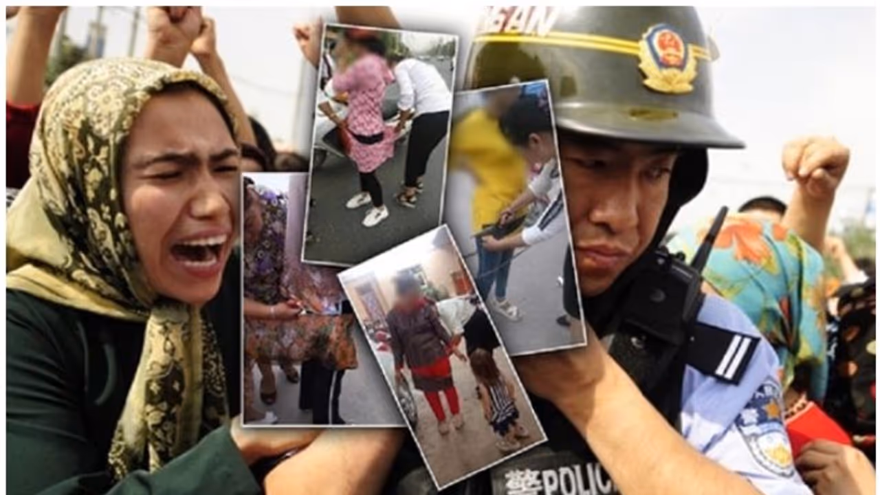 'നിങ്ങളും താലിബാനും ഒരുപോലെ' എന്ന് ചൈനയോട് പ്രസിദ്ധ ചരിത്രകാരൻ ഓൾസി യെസാഹി 'നിങ്ങളും താലിബാനും ഒരുപോലെ' എന്ന് ചൈനയോട് പ്രസിദ്ധ ചരിത്രകാരൻ ഓൾസി യെസാഹി