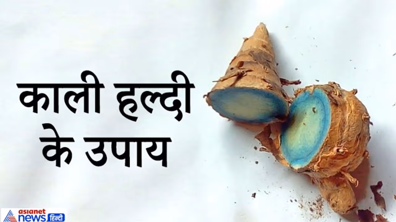 काली हल्दी को चांदी की डिब्बी में भरकर तिजोरी में रखें, हो सकता है धन लाभ काली हल्दी को चांदी की डिब्बी में भरकर तिजोरी में रखें, हो सकता है धन लाभ