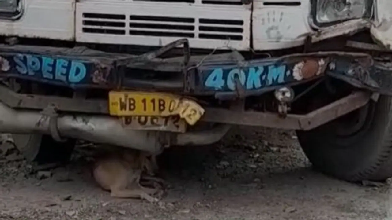 লরির ধাক্কায় ভেঙে পড়ল ছাউনি, মানিকতলায় ভয়াবহ দুর্ঘটনায় প্রাণ গেল দু'জনের লরির ধাক্কায় ভেঙে পড়ল ছাউনি, মানিকতলায় ভয়াবহ দুর্ঘটনায় প্রাণ গেল দু'জনের