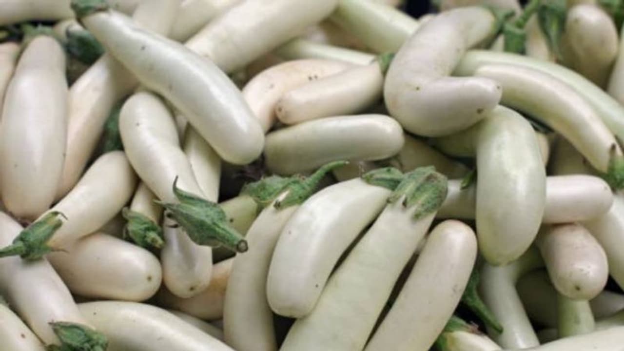 ഇനം നോക്കി വളര്ത്തി വിളവെടുക്കാം, വെളുത്ത വഴുതനയിലെ ഇനങ്ങള് ഇതൊക്കെയാണ് ഇനം നോക്കി വളര്ത്തി വിളവെടുക്കാം, വെളുത്ത വഴുതനയിലെ ഇനങ്ങള് ഇതൊക്കെയാണ്