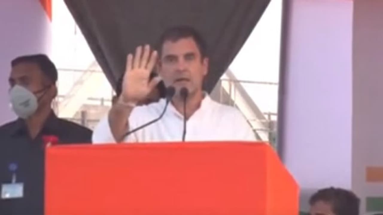 Bihar elections 2020: Rahul Gandhi slams NDA govt, says youths know Modi, Nitish looted the state