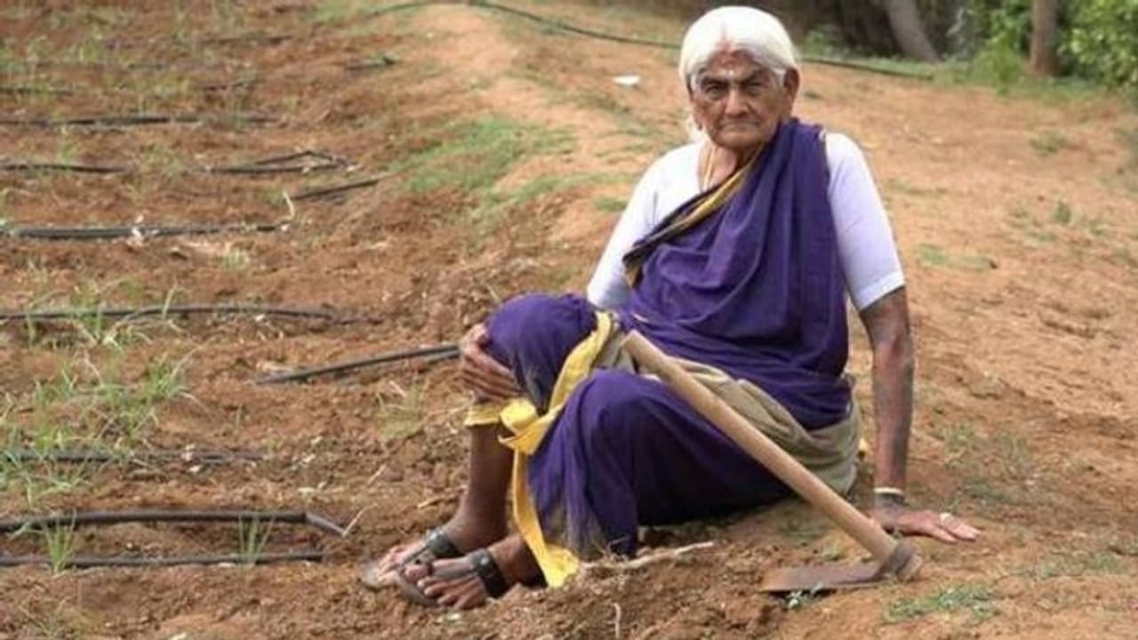 தனது ஜனநாயக கடமையை ஆற்றினார் 108 வயது இயற்கை விவசாயி பாப்பம்மாள்.. தனது ஜனநாயக கடமையை ஆற்றினார் 108 வயது இயற்கை விவசாயி பாப்பம்மாள்..