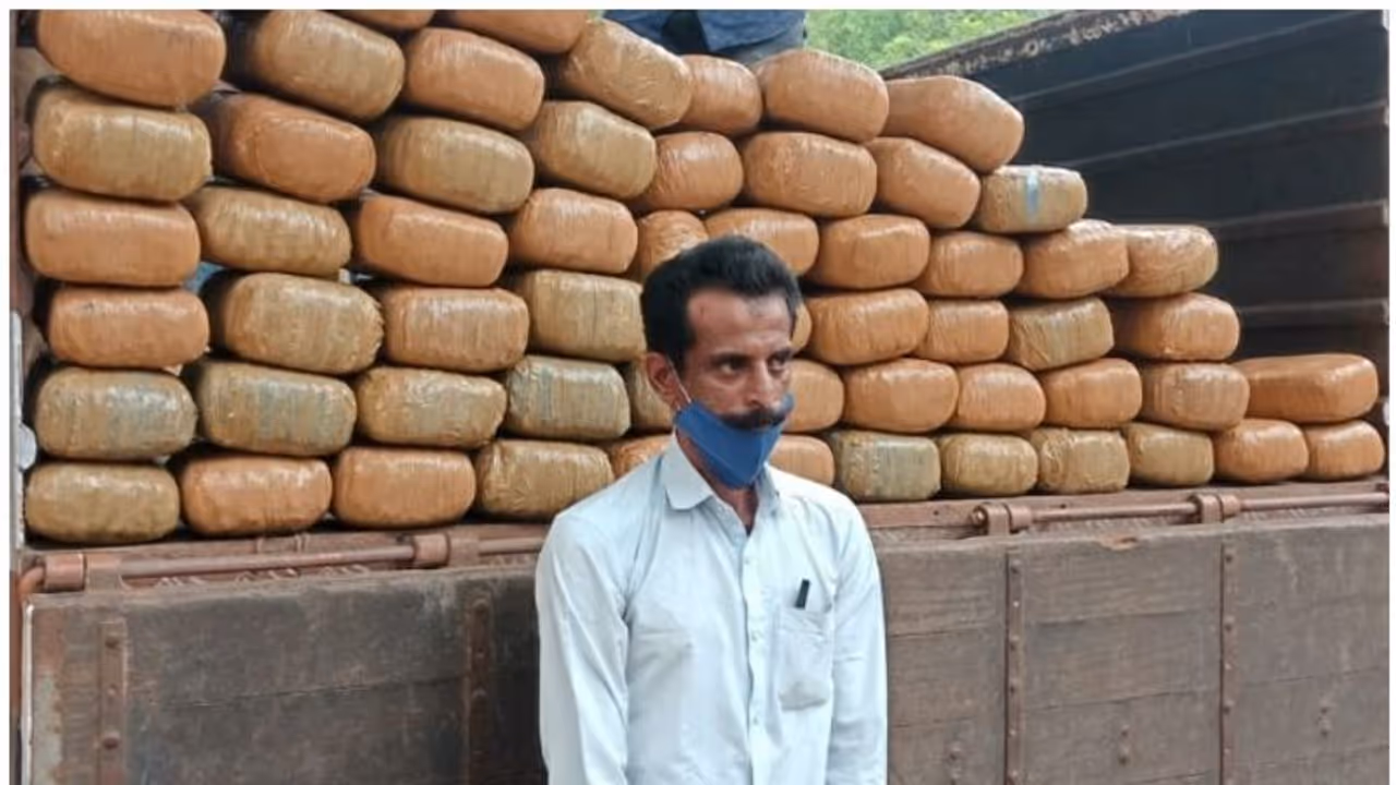 കോഴിക്കോട് കോടികളുടെ കഞ്ചാവ് വേട്ട; യുവാവ് അറസ്റ്റില് കോഴിക്കോട് കോടികളുടെ കഞ്ചാവ് വേട്ട; യുവാവ് അറസ്റ്റില്