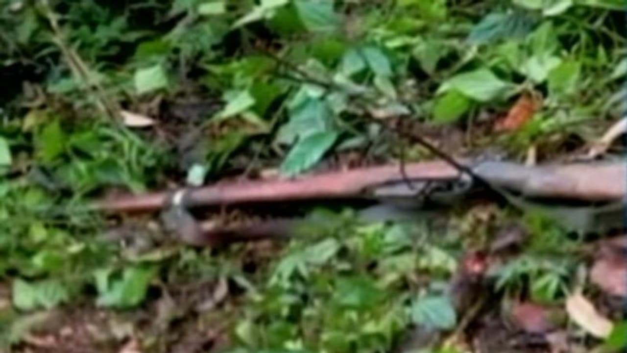 വയനാട് ഏറ്റുമുട്ടൽ; പരിക്കേറ്റത് രണ്ട് മാവോയിസ്റ്റുകൾക്ക്, വൈദ്യസഹായം ലഭിച്ചോയെന്ന് വ്യക്തതയില്ല: പൊലീസ് വയനാട് ഏറ്റുമുട്ടൽ; പരിക്കേറ്റത് രണ്ട് മാവോയിസ്റ്റുകൾക്ക്, വൈദ്യസഹായം ലഭിച്ചോയെന്ന് വ്യക്തതയില്ല: പൊലീസ്