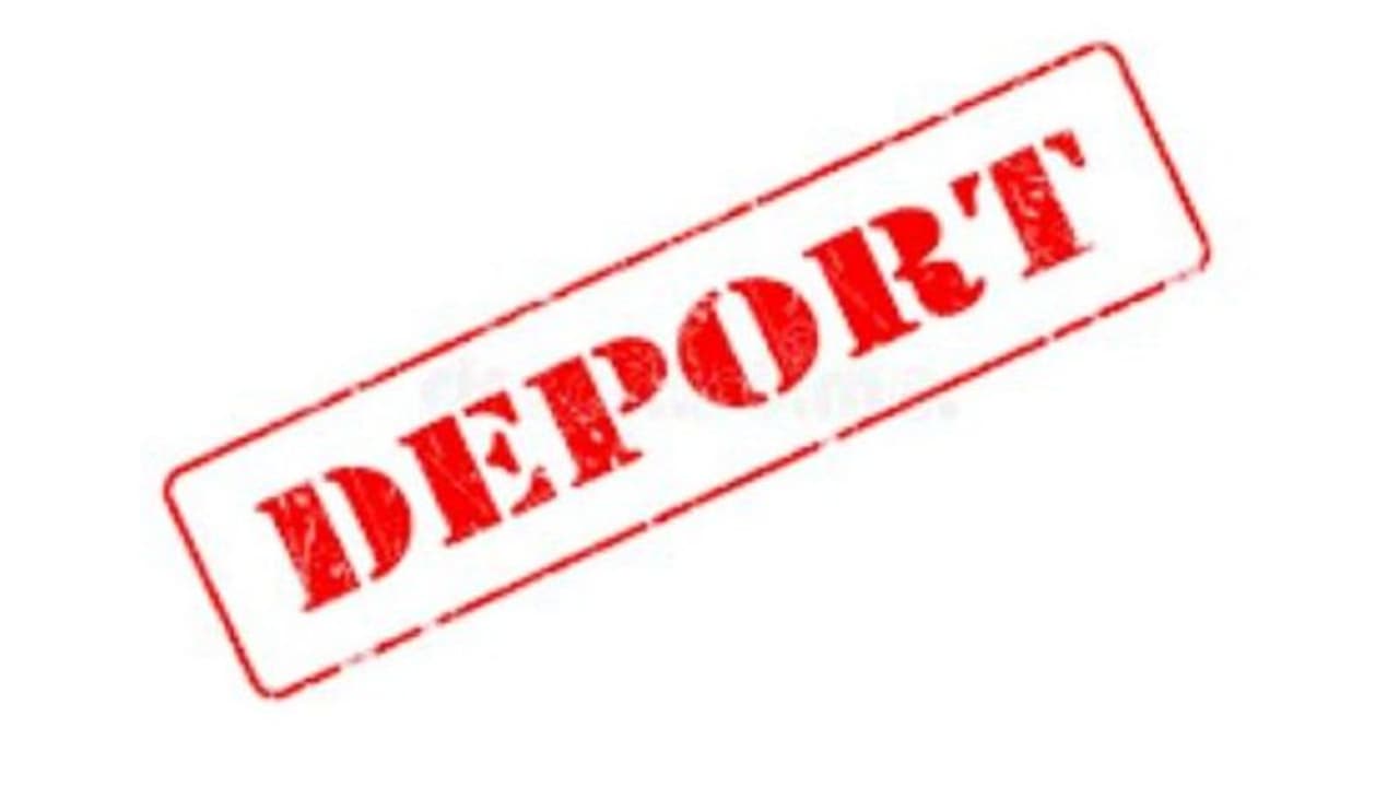 US emails hundreds of international students, ordering self deportation over campus activism US emails hundreds of international students, ordering self deportation over campus activism